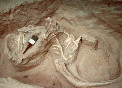Obligatorisk